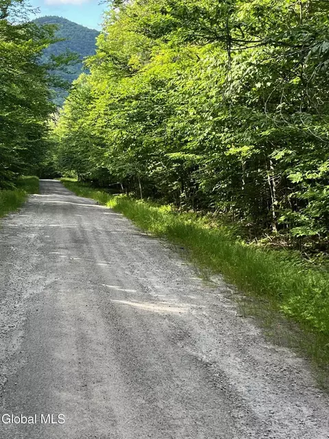 112 Ruby Mountain View Drive, North River, NY 12856