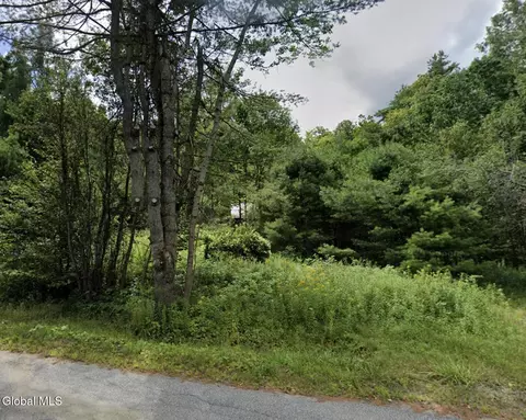 334 Grassville Rd, Brant Lake, NY 12815