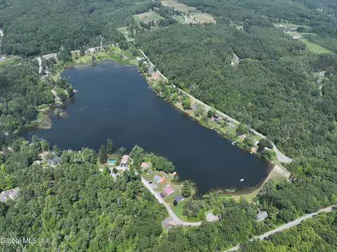View/Area - 66 E Shore Dr, East Berne, NY 12059 photo 6 of 6