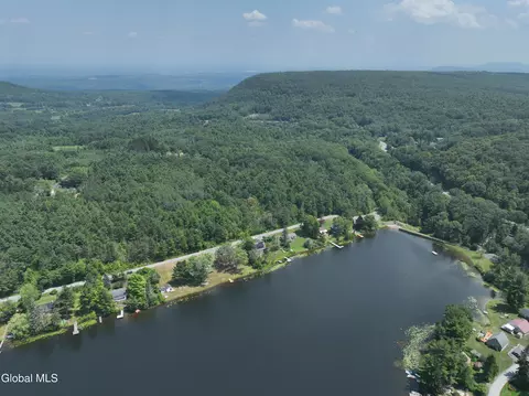 View/Area - 66 E Shore Dr, East Berne, NY 12059 photo 5 of 6