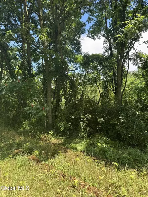 4 Coach Road # l27, Argyle, NY 12809 photo 3