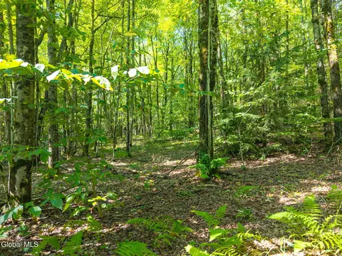 135 Dragoo Rd, Schenevus, NY 12155 photo 1