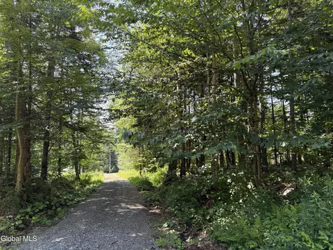 120 Jims Hill Rd, Speculator, NY 12108