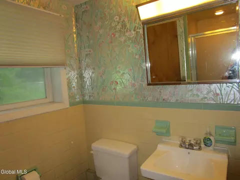 676 Pearse Rd, Schenectady, NY 12309 photo 60