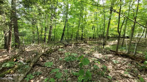 50 Finger Hill Rd, Saugerties, NY 12477