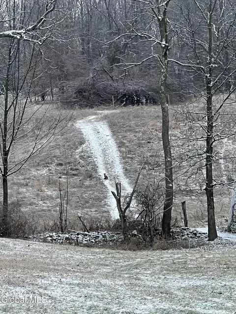 Other - 31 Safford Rd, Argyle, NY 12809 photo 29 of 29