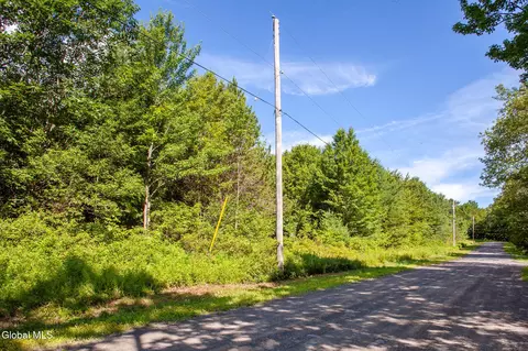 L-16.2 Donlan Heights Road, Middleburgh, NY 12122