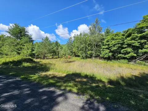 L-16.5 Donlan Heights Road, Middleburgh, NY 12122