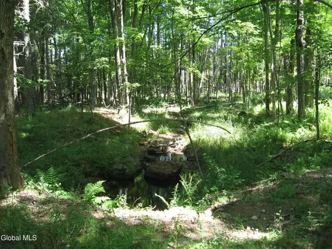 1260 Valentine Pond Rd, Adirondack, NY 12808