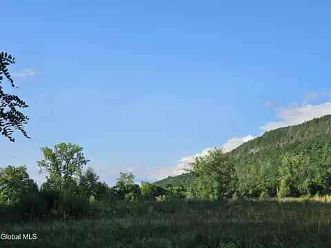 210 Main St, Middleburgh, NY 12122 photo 39
