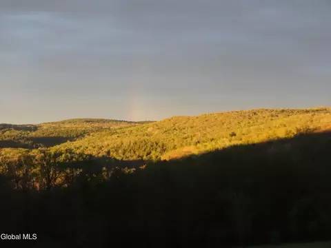 48 E Hill Rd, Berne, NY 12023 photo 54
