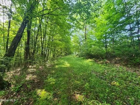 48 E Hill Rd, Berne, NY 12023 photo 36