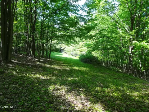 48 E Hill Rd, Berne, NY 12023 photo 47