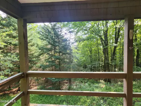 48 E Hill Rd, Berne, NY 12023 photo 41