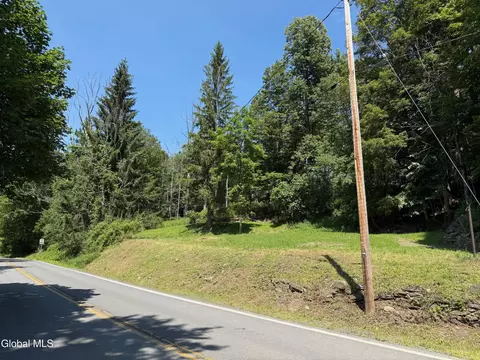 1499 Huntersland Rd, Middleburgh, NY 12122
