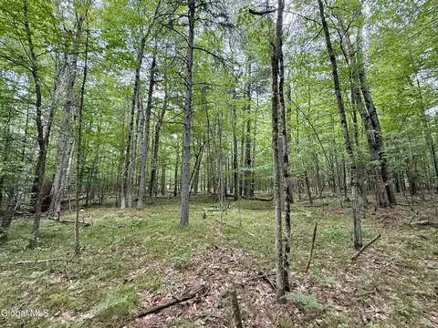 39 Sequoia Mountain Ln, Jay, NY 12941 photo 26