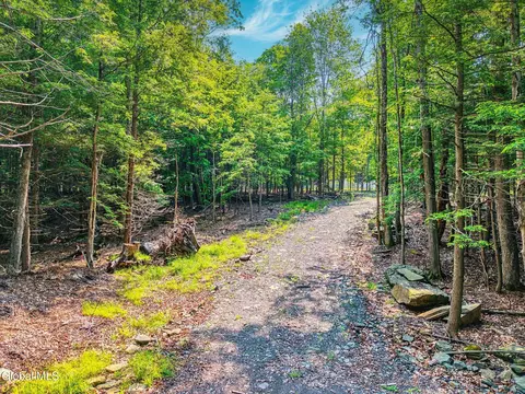 8 Boulder Brook Rd, Windham, NY 12496 photo 14