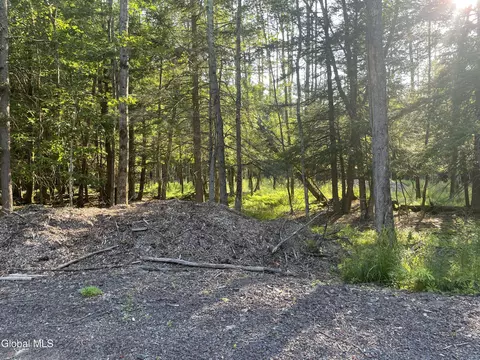 8 Boulder Brook Rd, Windham, NY 12496 photo 11