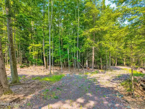 8 Boulder Brook Rd, Windham, NY 12496 photo 17