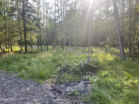 8 Boulder Brook Rd, Windham, NY 12496 photo 9