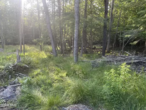 8 Boulder Brook Rd, Windham, NY 12496 photo 8