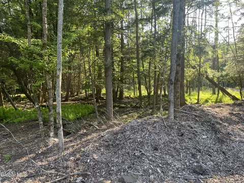 8 Boulder Brook Rd, Windham, NY 12496 photo 13
