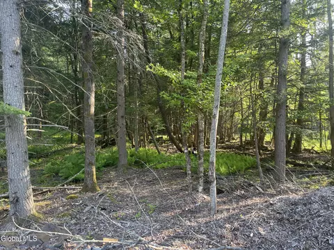 8 Boulder Brook Rd, Windham, NY 12496 photo 12