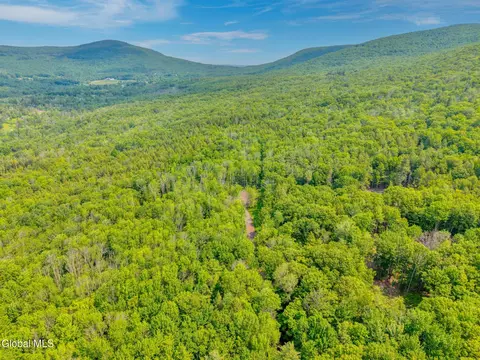 8 Boulder Brook Rd, Windham, NY 12496 photo 21