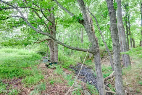 Exterior - 113 Quiet Path, Summit, NY 12175 photo 13 of 14