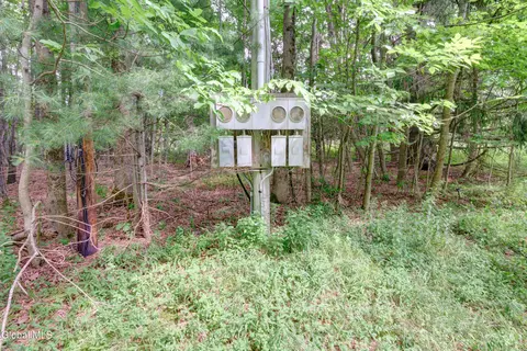 Other - 113 Quiet Path, Summit, NY 12175 photo 2 of 2