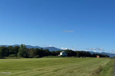 L7.110 County Route 402, Westerlo, NY 12193