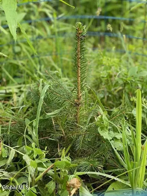 84 Baertschi Rd, Hoosick Falls, NY 12090