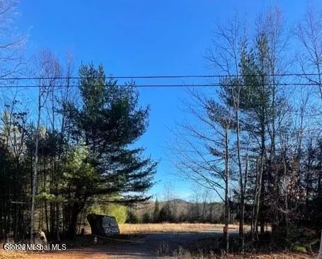 L4 State Route 28, Wevertown, NY 12886