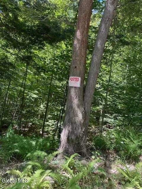 11 Horse Hill Road, Edinburg, NY 12134