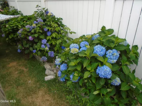 Exterior - 342 Eleanor St, Schenectady, NY 12306 photo 6 of 7