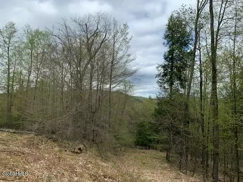 L4 Alder Brook Road, Horicon, NY 12815