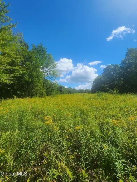 L1.2 Mcmillan Road, Duanesburg, NY 12137