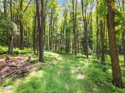 238 Bear Gulch Rd, Summit, NY 12175