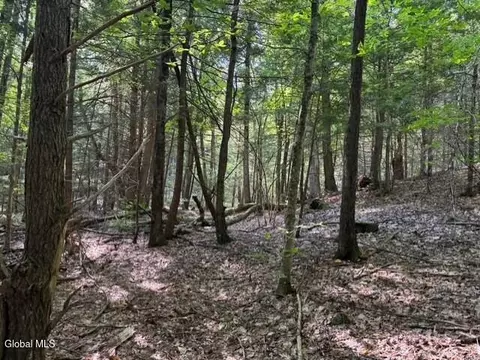 L8 Wrights Farm Road, Bolton Landing, NY 12814