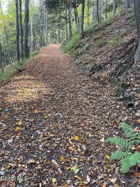 Other - 427 Patrick Rd, Cobleskill, NY 12043 photo 15 of 17