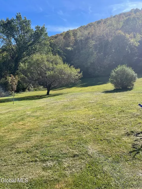 Exterior - 427 Patrick Rd, Cobleskill, NY 12043 photo 5 of 6