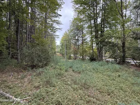 L33 Sawmill Road, Bolton, NY 12814