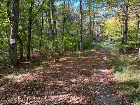 123 Wildwood Ln, Middleburgh, NY 12122