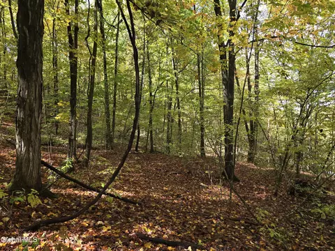 L25 River Road, Ticonderoga, NY 12883