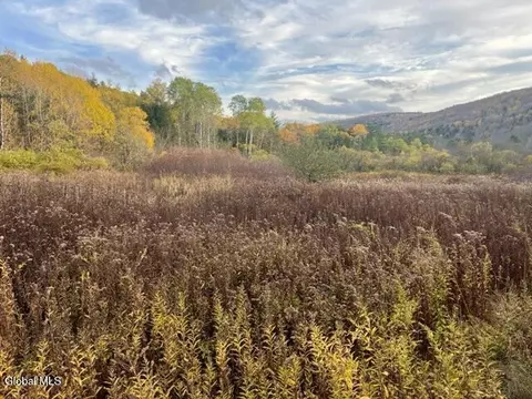 L8 Sawyer Hollow Road, Richmondville, NY 12149
