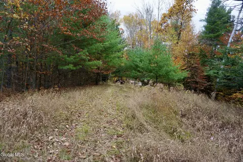 75 Carey Rd, Day, NY 12835