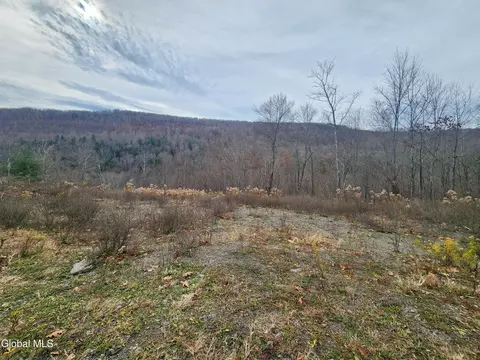 143 Rebel Ridge Rd, Jefferson, NY 12093