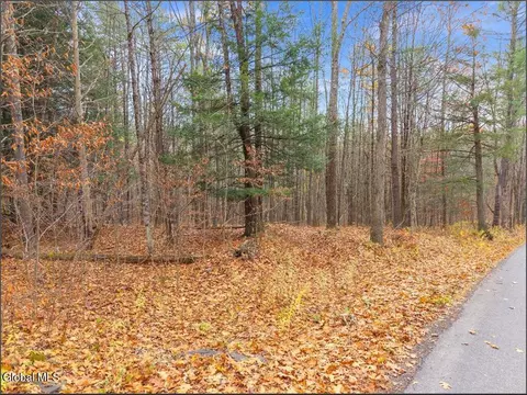 L1.1 Lassen Road, Middleburgh, NY 12122