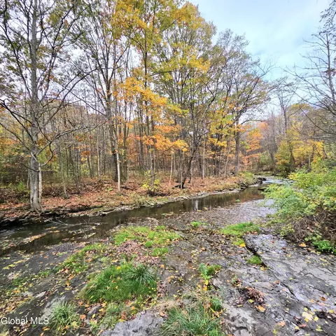 L53 Tarrytown Road, Clarksville, NY 12041