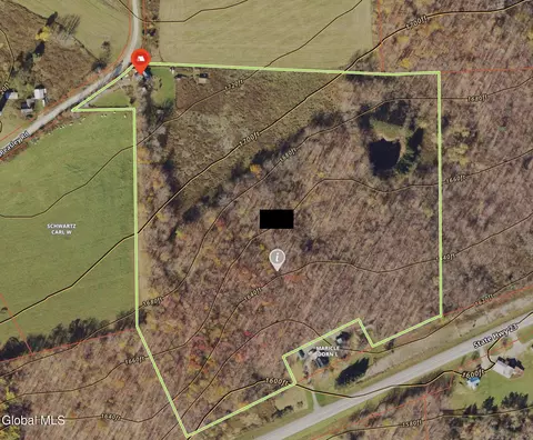168 George Peasley Rd, Mc Donough, NY 13758